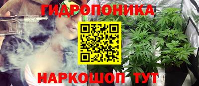 mdma Можга