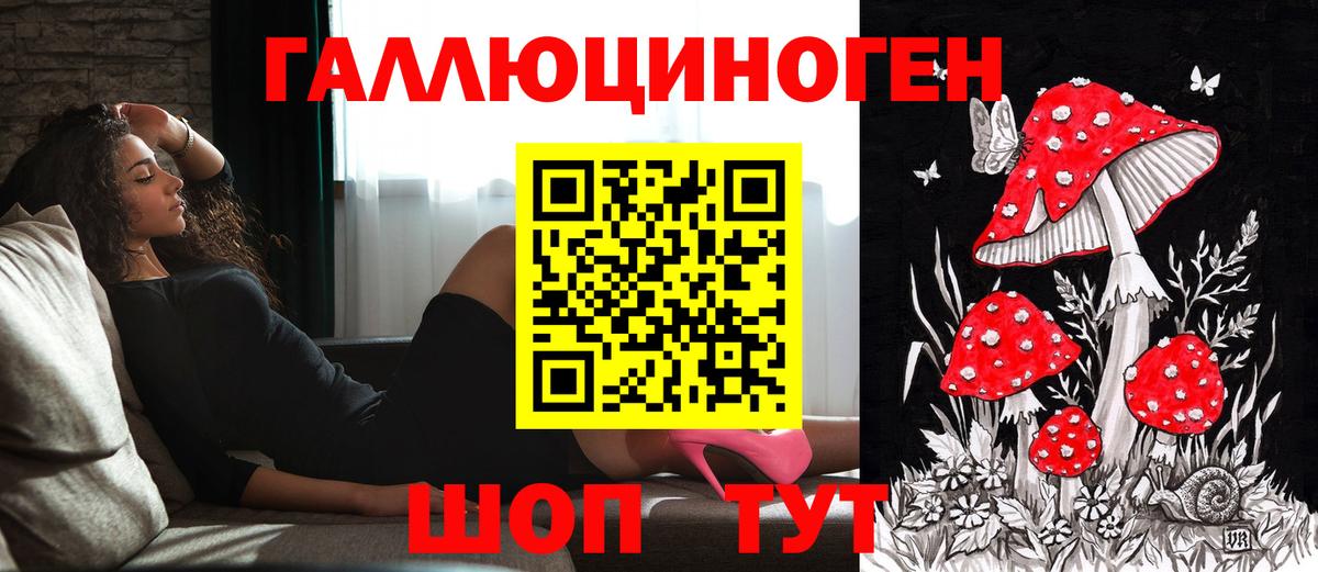 Галлюциногенные грибы мицелий  Елизово  Псилоцибиновые грибы ЛСД 